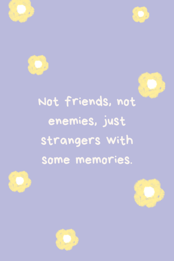 a quote saying "not friends, not enemies, just strangers with some memories"