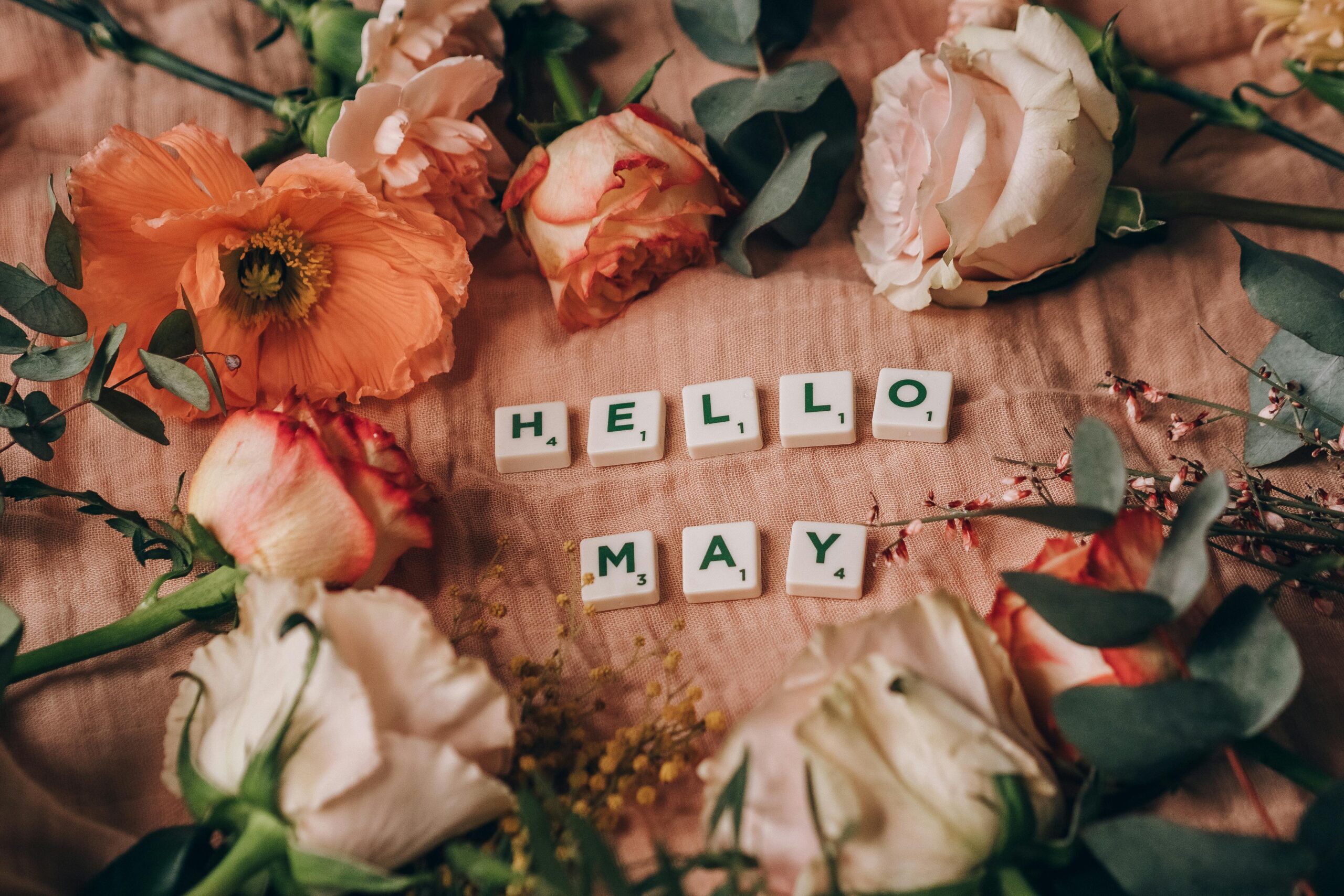 35 Useful Things to Do in May for a Successful Month