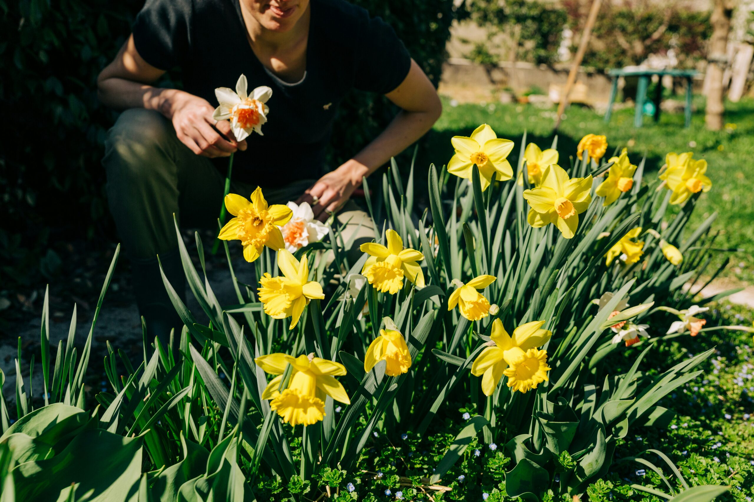 a featured image for a blog post about spring glow-up tips