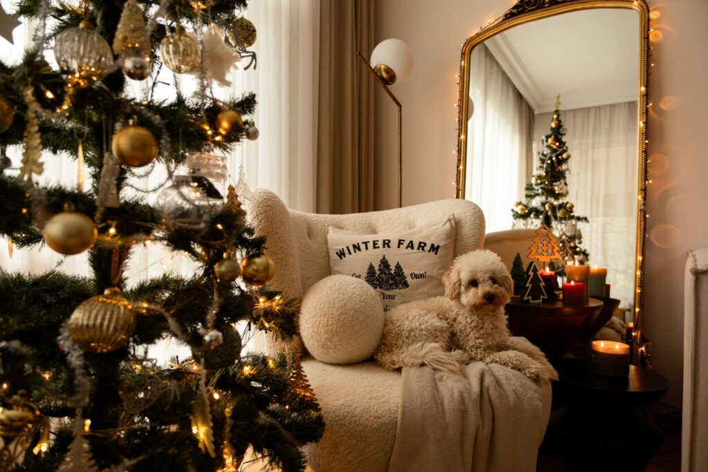holiday aesthetic