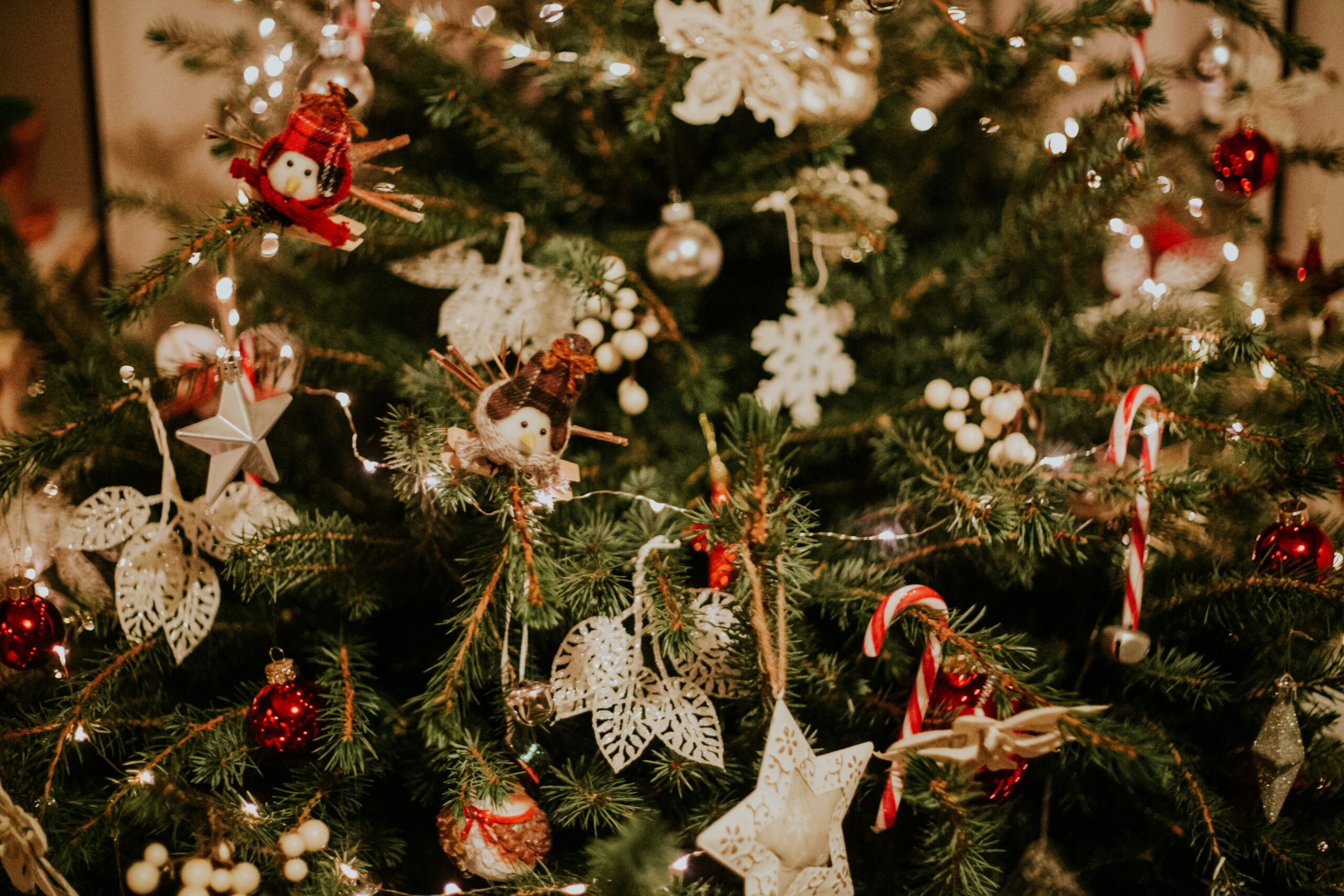 a featured image for a blog post about coping with holiday stressors
