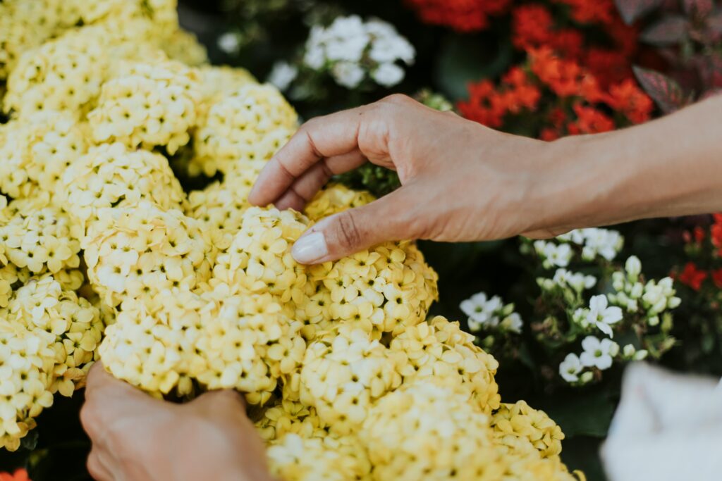 a woman picking flowers