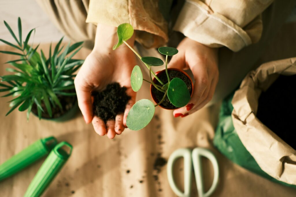 a woman doing plant swapping